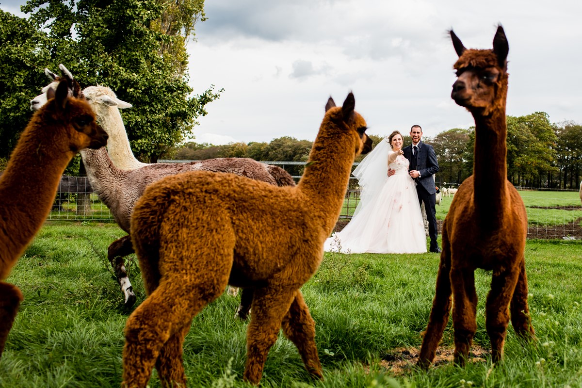 27karin keesmaat trouwfotograaf-trouwen efteling bronckhorst1347.jpg