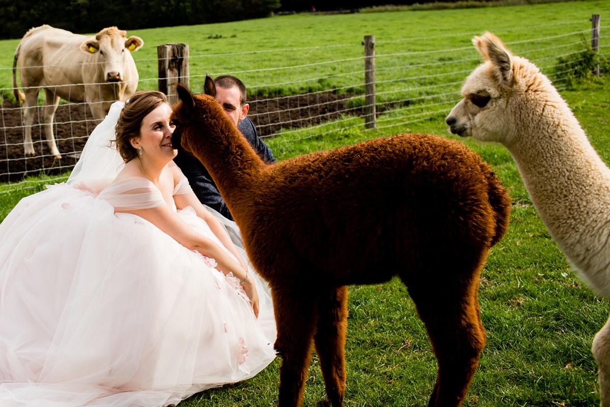 28karin keesmaat trouwfotograaf-trouwen efteling bronckhorst1388.jpg